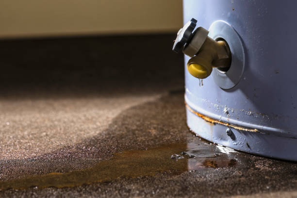 Carpet water damage restoration in Mayville, NY