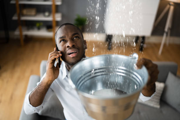 Best Flood damage cleanup  in Mayville, NY