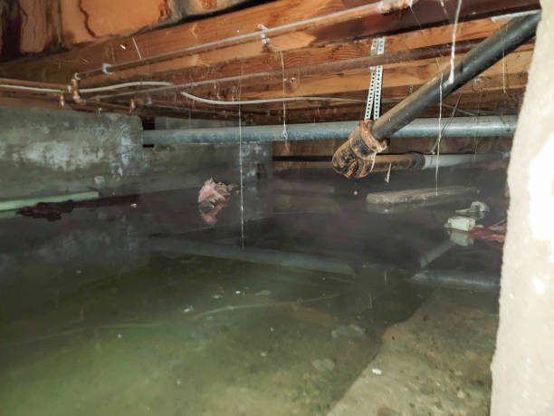 Best 24/7 water damage repair  in Mayville, NY