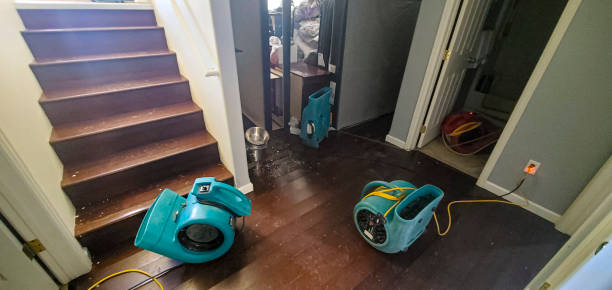 Best Flood restoration services  in Mayville, NY