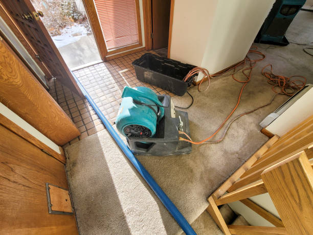 Best Water damage restoration services  in Mayville, NY