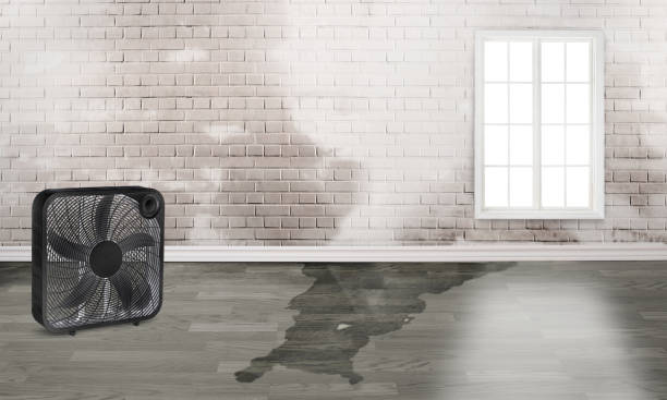 Reliable Mayville, NY Water damage restoration Solutions