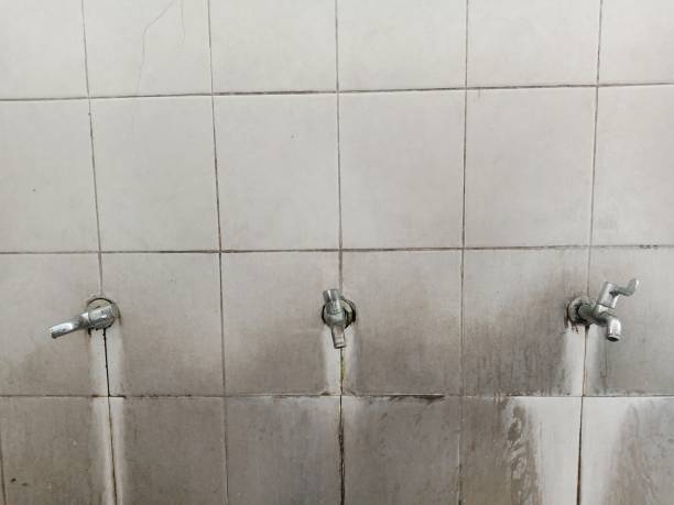 Best Sewage cleanup and water damage restoration  in Mayville, NY