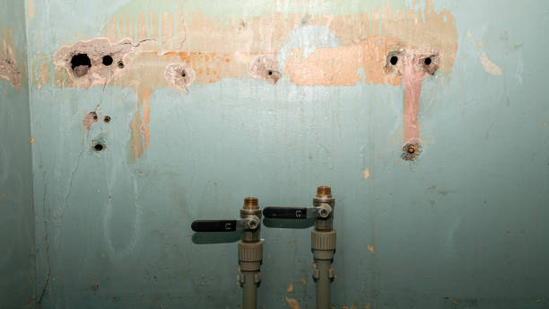 Best Water damage cleanup near me  in Mayville, NY