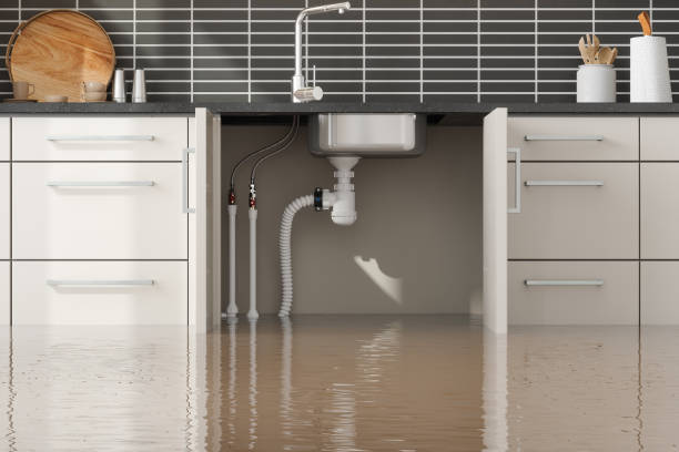 Best Professional water damage repair  in Mayville, NY